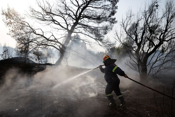 Hy Lạp đối mặt với 81 vụ cháy rừng do nắng nóng gay gắt
