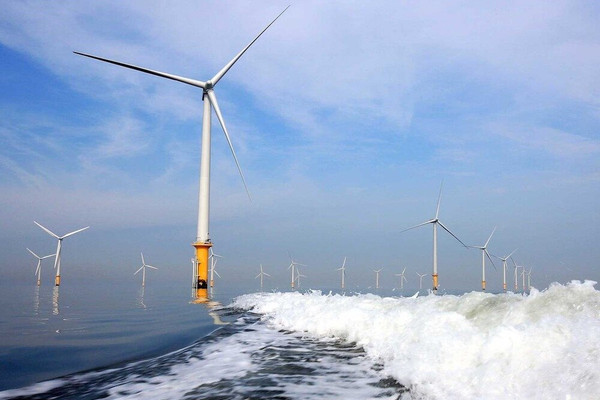 Điện gió ngoài khơi - khai thác năng lượng xanh từ biển: Cần lưu ý đến môi trường và xã hội