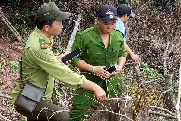 Đakrông (Quảng Trị): Phát triển tài nguyên rừng bền vững vùng dân tộc thiểu số