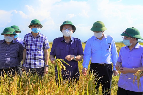 Quảng Trị: Thương lái vào địa bàn tiêu thụ nông sản phải chấp hành nghiêm quy định về phòng dịch Covid-19