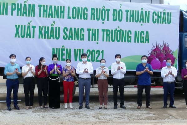 Thanh long Sơn La lên đường sang thị trường Nga   