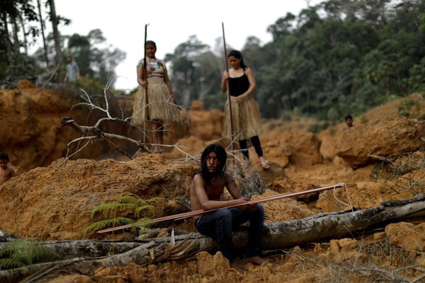 Nạn phá rừng ở Amazon của Brazil chạm mức cao nhất trong một thập kỷ