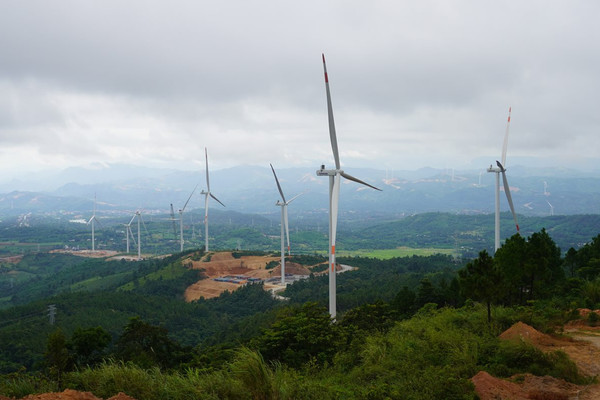 Hướng Hoá - Quảng Trị: Trồng cây, bảo vệ môi trường sinh thái khu vực các dự án điện gió