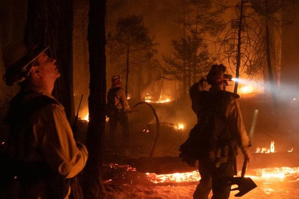 California (Mỹ) đóng cửa khẩn cấp 9 khu rừng quốc gia