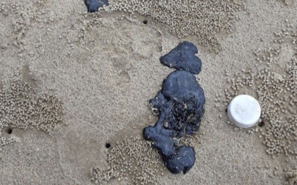 Quảng Trị: Phát hiện hàng tấn dầu trôi dạt vào bờ biển