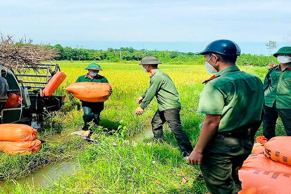 Thanh Hóa: Bí thư huyện và Công an giúp dân thu hoạch lúa tránh bão