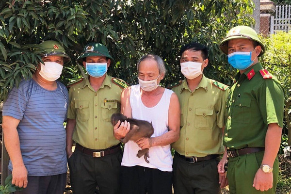 Vườn Quốc gia Vũ Quang tiếp nhận, cứu hộ động vật hoang dã quý hiếm