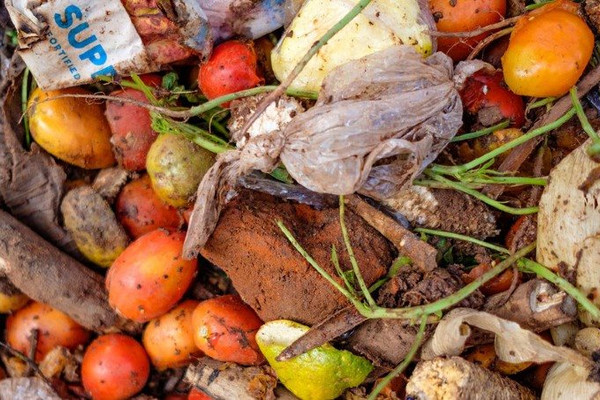 Nỗi lo từ rác thải thực phẩm 