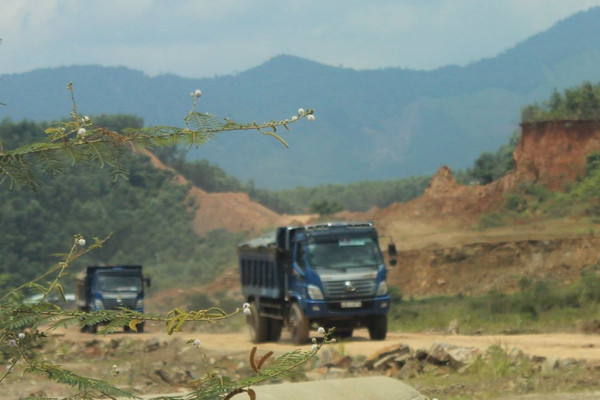 Đà Nẵng: Thanh tra toàn diện việc quản lý, sử dụng đất lâm nghiệp