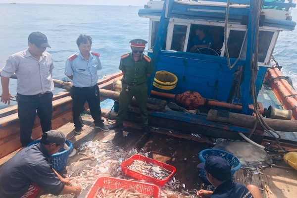 Bình Định: Xử phạt hơn 342 triệu đồng về hành vi khai thác thủy sản bất hợp pháp 