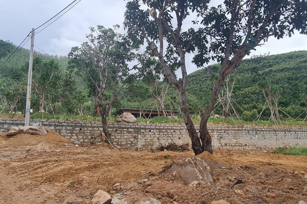 Phú Yên:  Xuất hiện tình trạng san ủi đất rừng trái phép