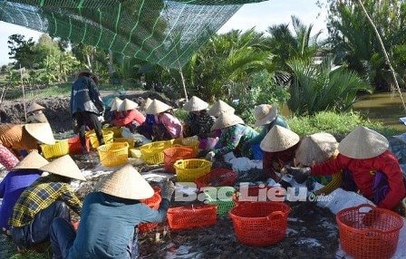 Bạc Liêu: Thực hiện tốt các giải pháp ứng phó với biến đổi khí hậu