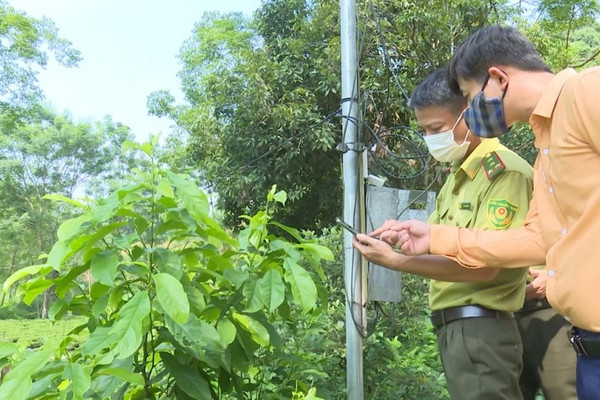 Thái Nguyên: Ứng dụng công nghệ số trong quản lý, bảo vệ và phát triển rừng