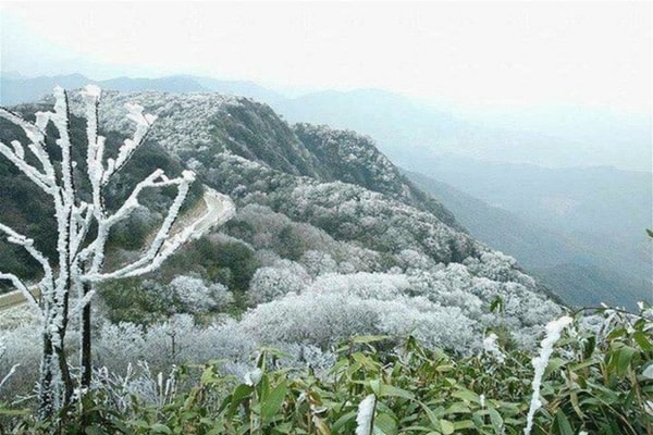 Chủ động ứng phó rét đậm và gió mạnh trên biển