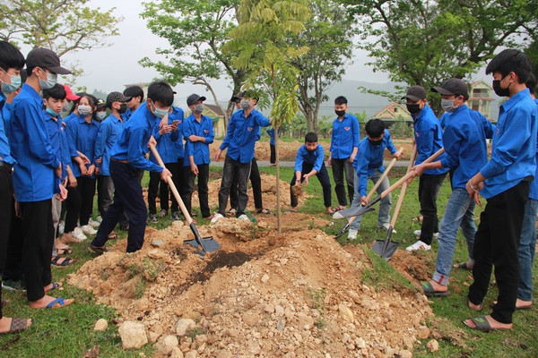 Nghệ An: Các huyện miền núi tăng cường trồng cây theo đề án trồng 1 tỷ cây xanh