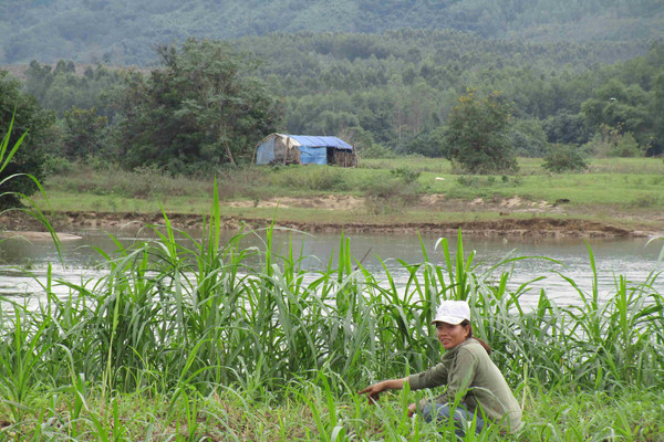Bình Định: Dân mất đất sản xuất vì sông Kôn sạt lở 