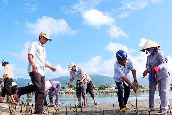 Vạn Ninh (Khánh Hòa): Tôn giáo triển khai nhiều mô hình thiết thực bảo vệ môi trường