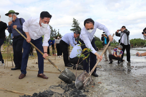 Bộ TN&MT và tỉnh Khánh Hòa ra quân trồng cây rừng ngập mặn ứng phó biến đổi khí hậu