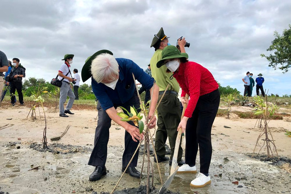 URC Việt Nam tham gia trồng cây rừng ngập mặn ven biển
