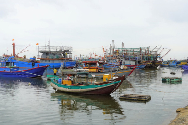 Quảng Trị nghiêm cấm tàu thuyền ra khời từ 19 giờ ngày 17/12 để ứng phó với bão Rai