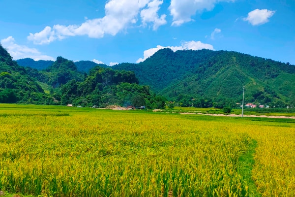Những vấn đề đặt ra trong bồi thường, hỗ trợ, tái định cư ở Thanh Hóa