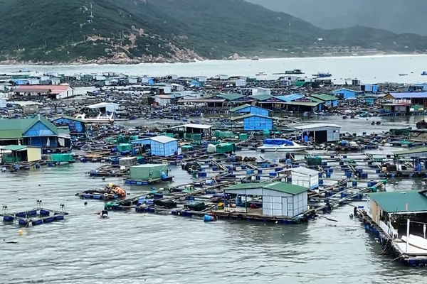 Khánh Hòa: Hàng trăm lồng bè nuôi tôm bị cuốn trôi do ảnh hưởng bão số 9
