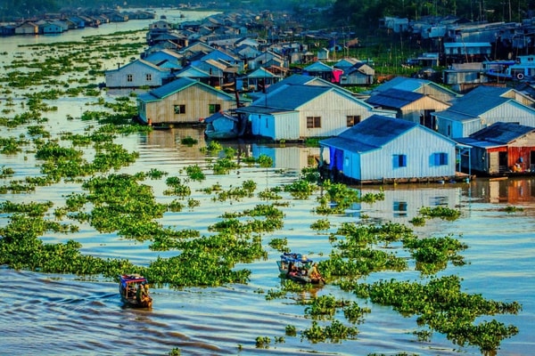 Chuẩn bị Sơ kết Nghị quyết 120 về phát triển bền vững Đồng bằng sông Cửu Long