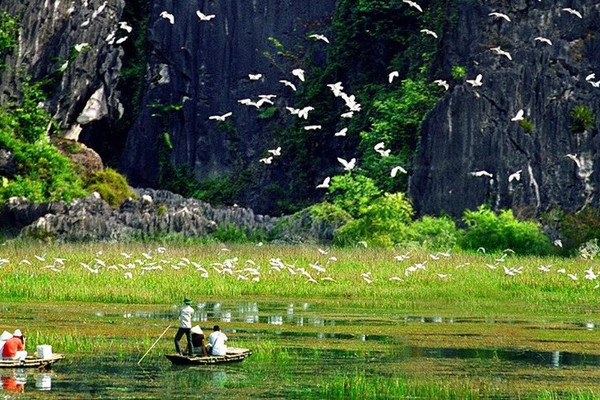 Phát động Cuộc thi Ảnh về bảo tồn và sử dụng bền vững các vùng đất ngập nước của Việt Nam