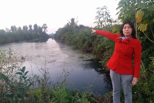 Đất vỡ hoang tại Đồ Sơn, Hải Phòng: Chủ tịch phường Bàng La xử phạt liệu có đúng luật?