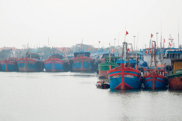 Thanh Hóa: Quản lý khu bảo tồn biển Việt Nam