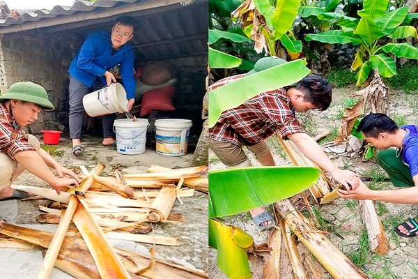 Sản phẩm thân thiện với môi trường từ cây chuối