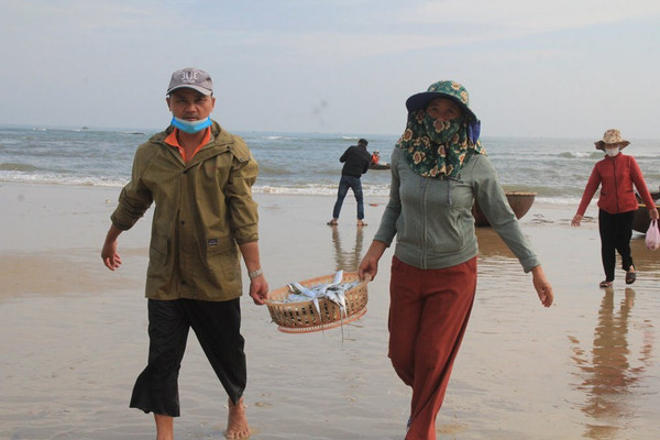 Quảng Nam: Mùa biển động, ngư dân vẫn bội thu