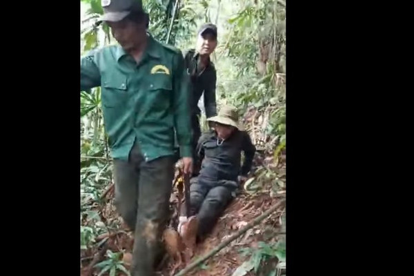 Thừa Thiên - Huế: Truy quét “lâm tặc”, cán bộ bảo vệ rừng gặp nạn