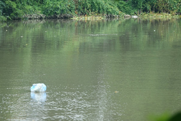 Sớm tổ chức Kế hoạch giám sát bảo vệ môi trường hệ thống sông Bắc Hưng Hải