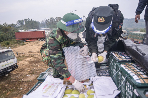 Lạng Sơn: Dừng tiếp nhận phương tiện chở hoa quả tươi từ ngày 17/01