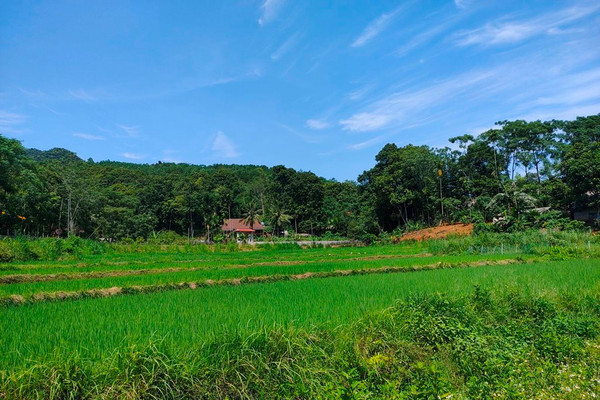 Phát triển du lịch sinh thái kết hợp với nông nghiệp hữu cơ ở huyện Quan Sơn
