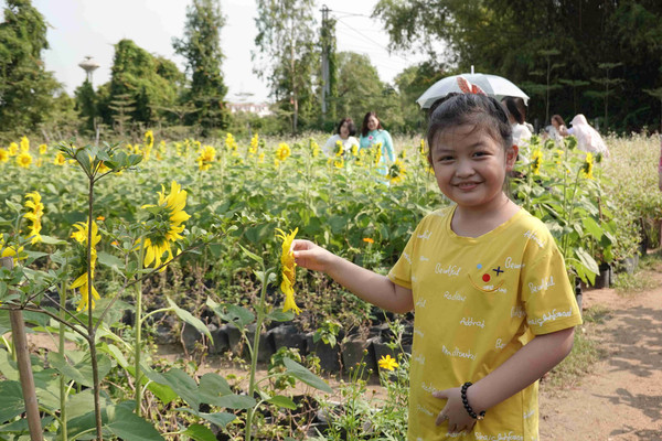 Bình Định: Rực rỡ vườn hoa Quỳnh Xanh cùng du khách vui xuân