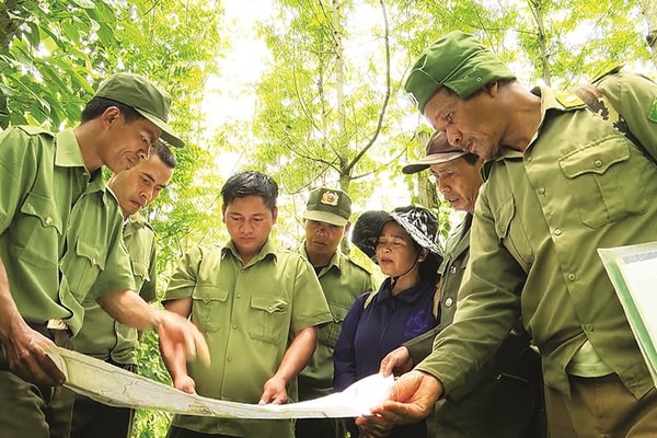 Thơm thảo tình rừng