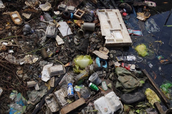 WWF kêu gọi hành động khẩn cấp chống rác thải nhựa đại dương