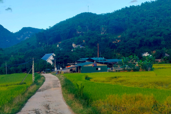 Thanh Hóa: Đầu tư xây dựng công trình cấp điện cho 20 thôn, bản khó khăn