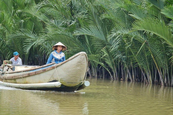 Quảng Ngãi: Bảo vệ rừng dừa nước trăm tuổi