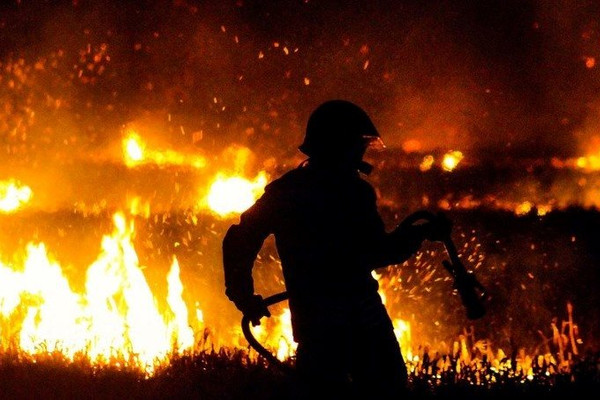 Cảnh báo rủi ro xảy ra cháy rừng sẽ tăng 50% vào cuối thế kỷ