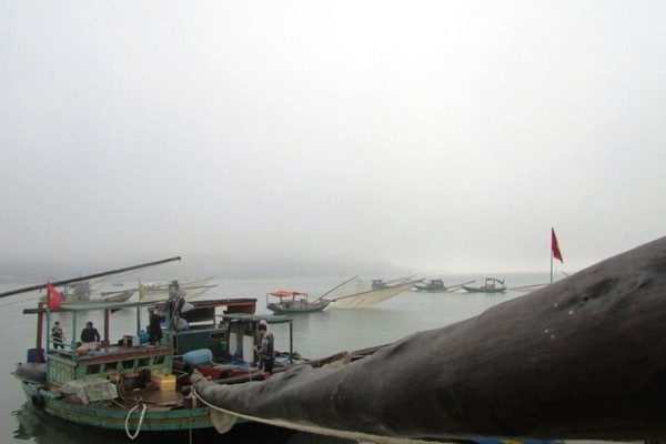 Hà Tĩnh: Hơn 900 giấy phép đươc cấp mới cho ngư dân khai thác thủy sản