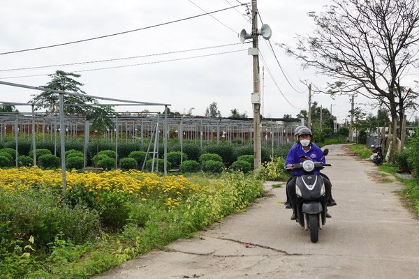 Đà Nẵng: Chấn chỉnh chuyển nhượng, chuyển mục đích đất nông nghiệp