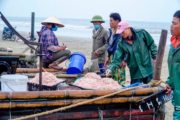 Thanh Hóa tăng cường công tác quản lý môi trường cảng cá