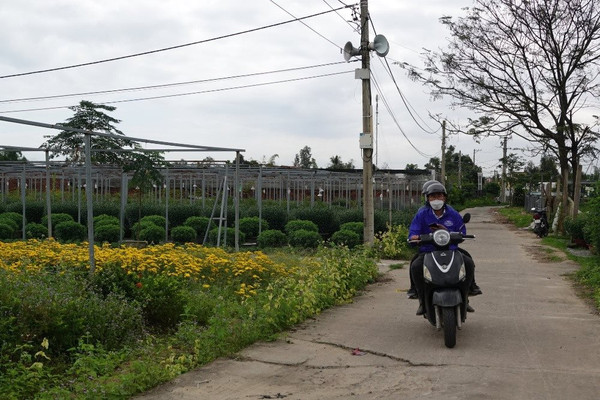 Đà Nẵng: Không giải quyết thủ tục chuyển mục đích sử dụng đất nông nghiệp sang đất ở