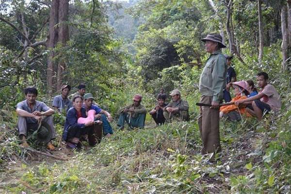 Điện Biên: Đẩy mạnh kiểm tra, giám sát quản lý sử dụng tiền chi trả dịch vụ môi trường rừng
