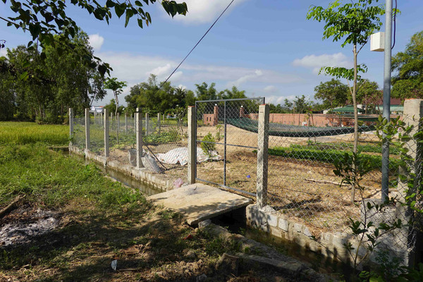 Bình Định: Sử dụng đất trồng cây hàng năm không đúng mục đích