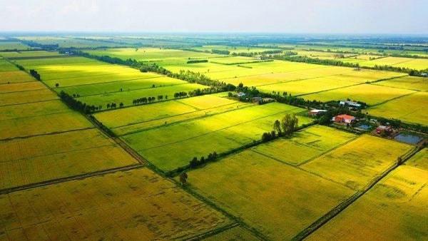 Rút ngắn quy trình chuyển mục đích sử dụng đất phù hợp với quy trình thực hiện dự án nhà ở
