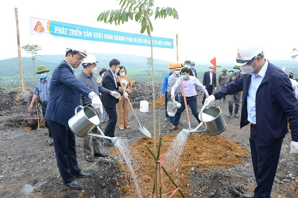 Gang thép Thái Nguyên trồng cây hưởng ứng Chương trình 1 tỷ cây xanh